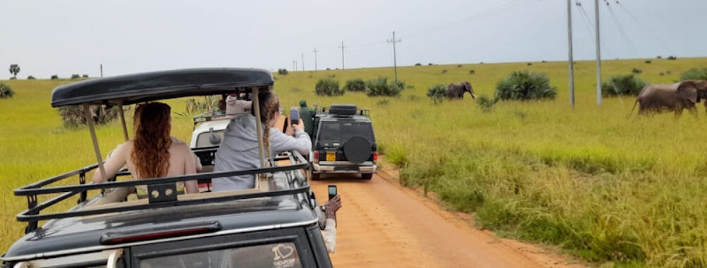 Bright safaris Uganda limited Travel Forum Reviews