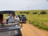 Bright safaris Uganda limited Travel Forum Reviews