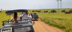 Bright safaris Uganda limited