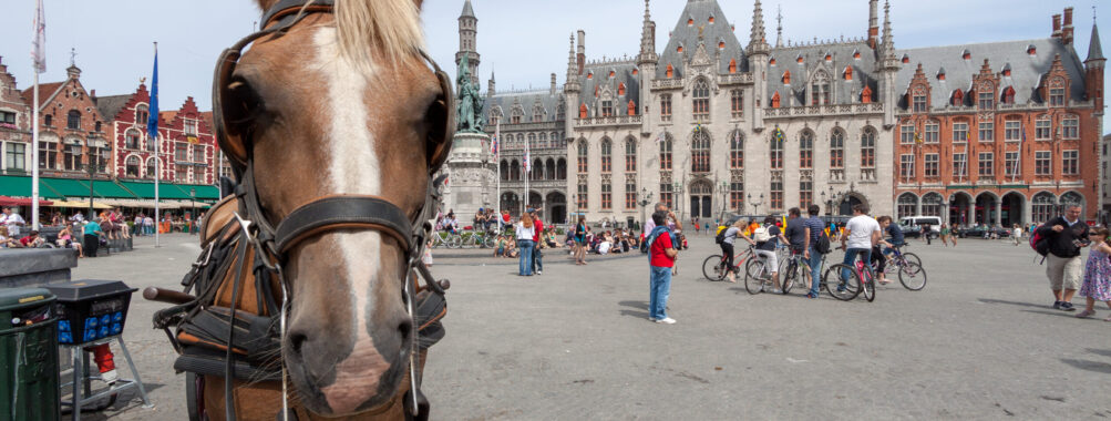 Escape Tour self-guided, interactive city challenge in Bruges Review