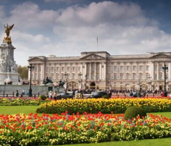 Buckingham Palace Travel Forum Reviews