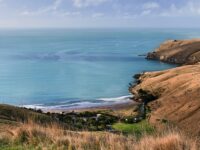 Family walking tour in Canterbury Review