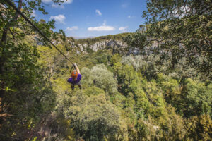 Canyon Forest