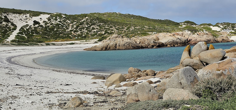 Cape Columbine Nature Reserve