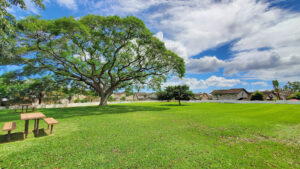 Celebrations At Waikele Park