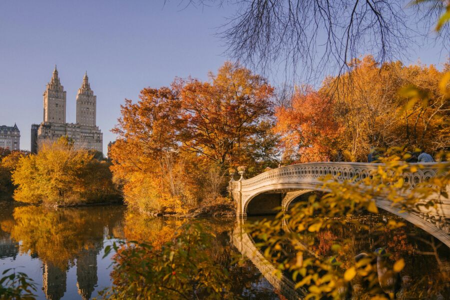 Autumn hues at NYC Central park