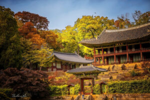 Changdeokgung Secret Garden