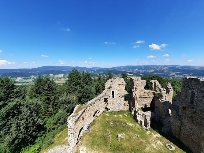 Château des Cornes d’Urfé