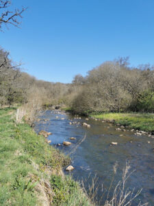 Clyde Valley Woodlands National Nature Reserve (Cartland Crags)