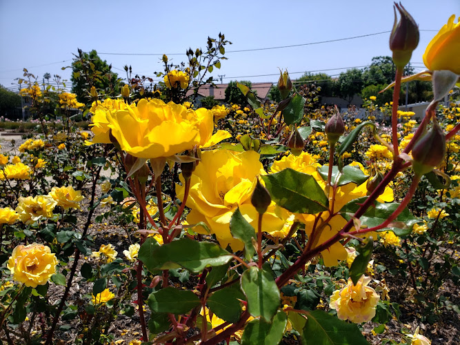 Costa Mesa Historical Society