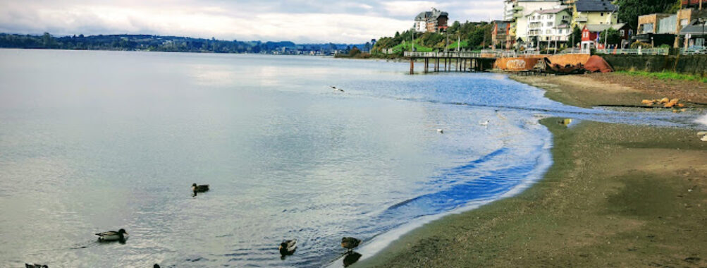 Costanera Puerto Varas Travel Forum Reviews