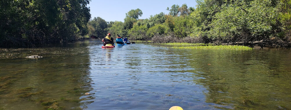 Cosumnes River Preserve Travel Forum Reviews