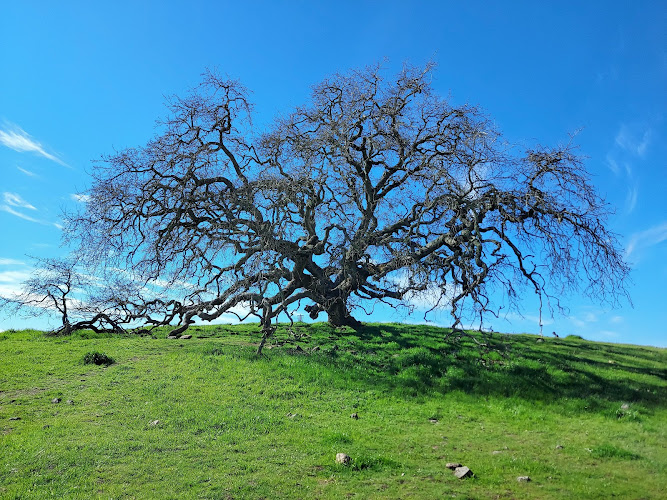 Crane Creek Regional Park