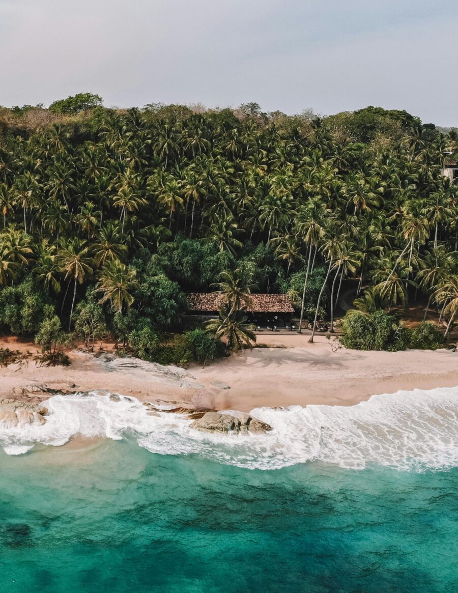 Crashing waves and coconut trees in Colombo