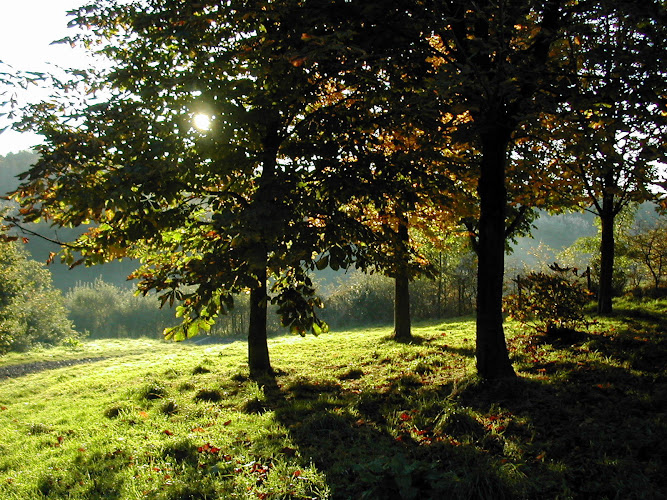 Cuerden Valley Park