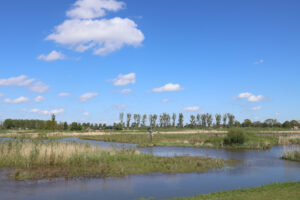 De Nieuwe Dordtse Biesbosch