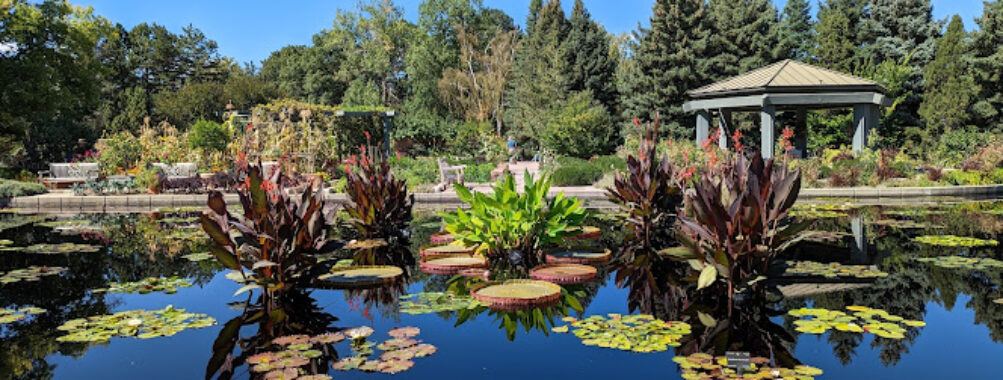 Denver Botanic Gardens Travel Forum Reviews