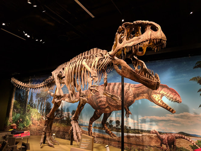 Denver Museum of Nature & Science