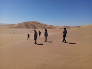 Desert Scenic Tours