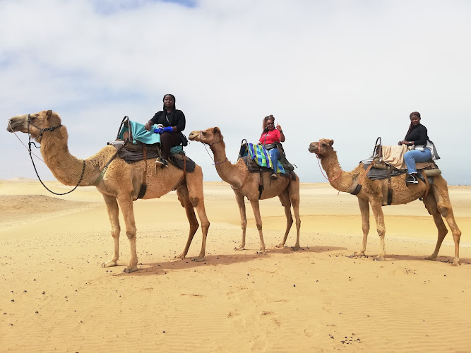 Desert explorers adventure centre Travel Forum Reviews