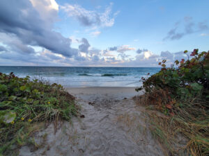 Dr. Von D. Mizell-Eula Johnson State Park