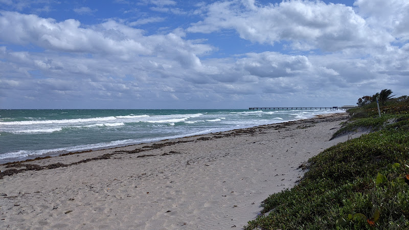 Dr. Von D. Mizell-Eula Johnson State Park