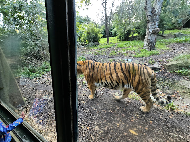 Dublin Zoo