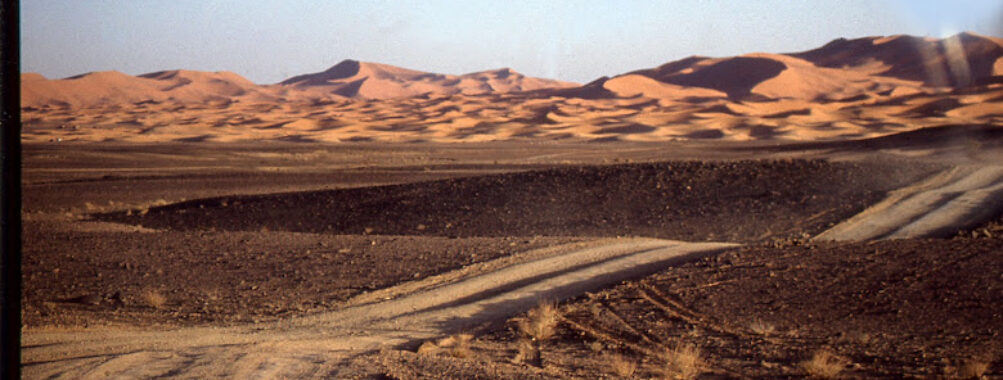 EL Amraoui Desert Tours Sarl Travel Forum Reviews