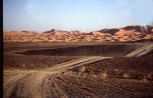 EL Amraoui Desert Tours Sarl