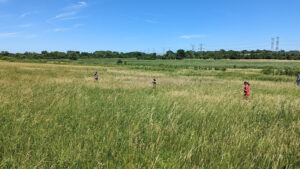 East Branch Forest Preserve