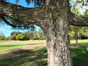 East La Loma Park