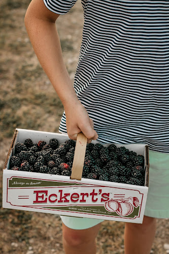 Eckert’s Pick Your Own Belleville Farm