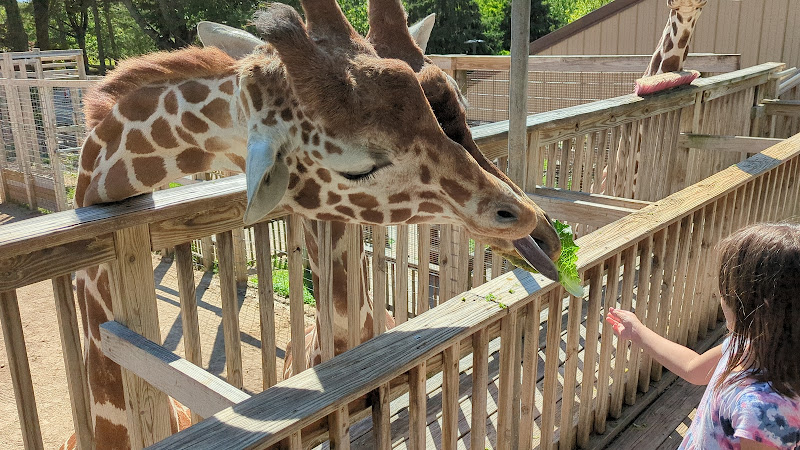 Elmwood Park Zoo