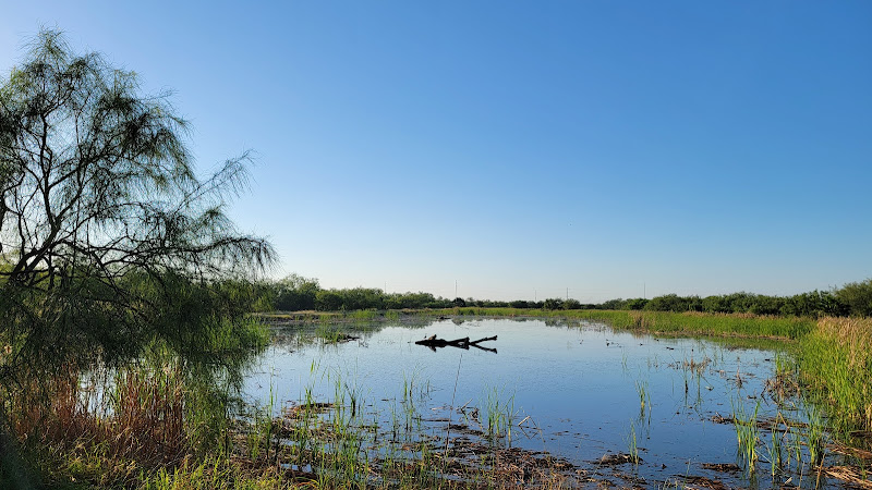 Estero Llano Grande State Park