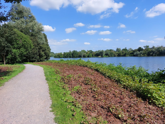 Etang du vignoble à Valenciennes