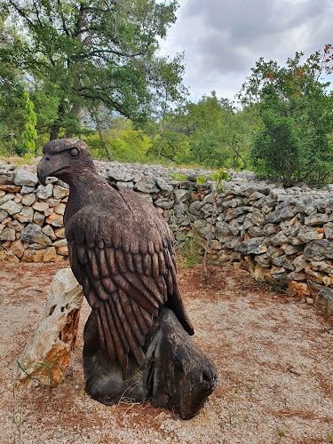 Falconry center