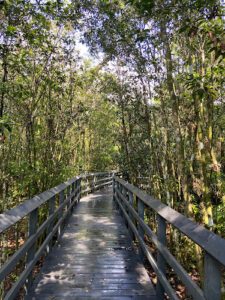 Fern Forest Nature Center