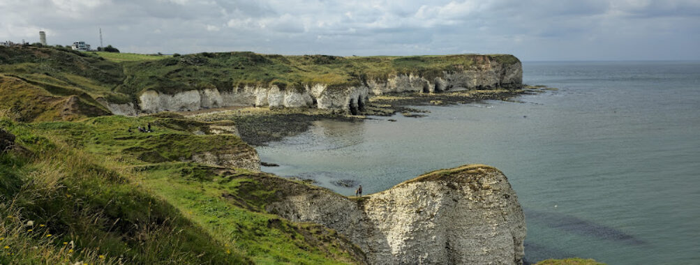 Flamborough Outer Headlands Nature Reserve Travel Forum Reviews