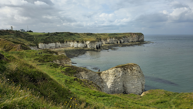 Flamborough Outer Headlands Nature Reserve