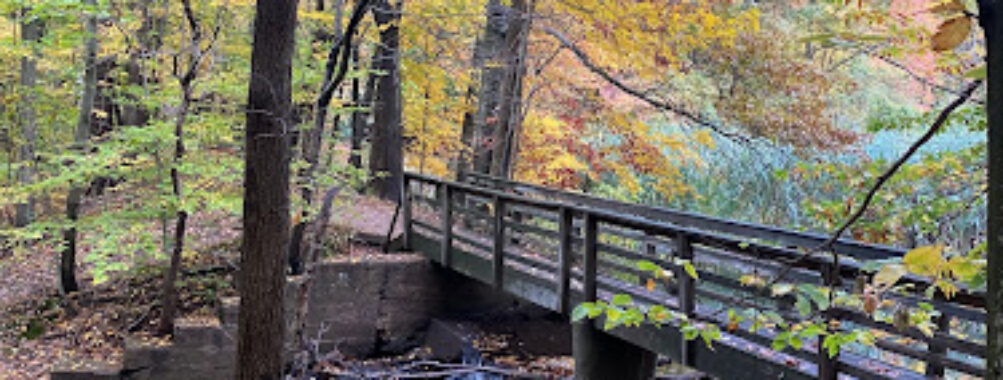 Flat Rock Brook Nature Center Travel Forum Reviews