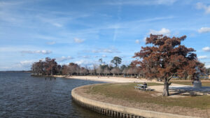 Fontainebleau Beach