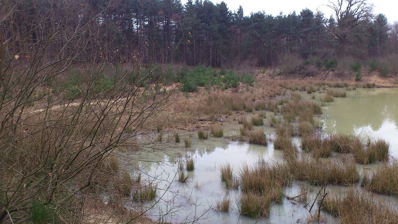 Forêt Domaniale de Sénart