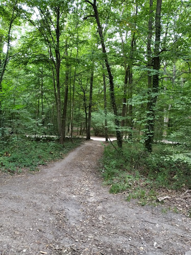 Forêt Régionale de Bondy