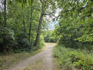 Forêt domaniale de Saint-Germain