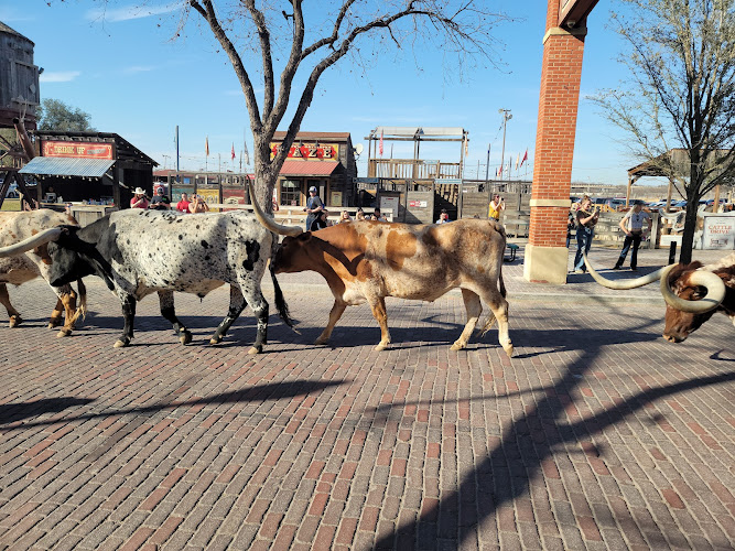 Fort Worth Stockyards