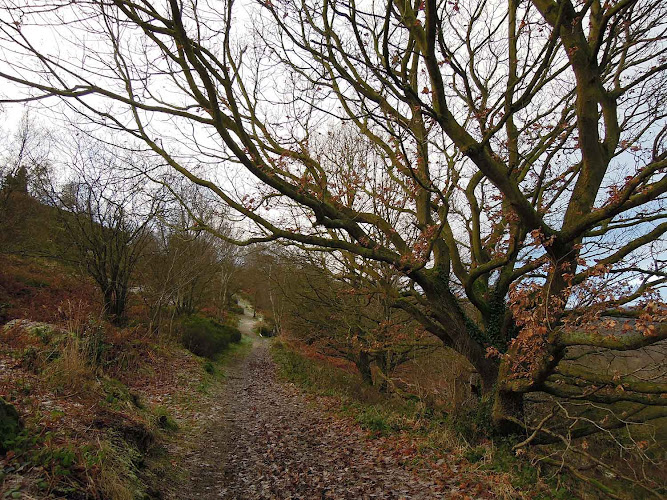 Fox Hagg Nature Reserve