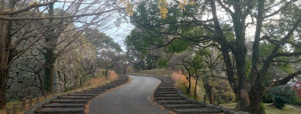 Full-day private minibus tour to Mount Aso from Fukuoka Review