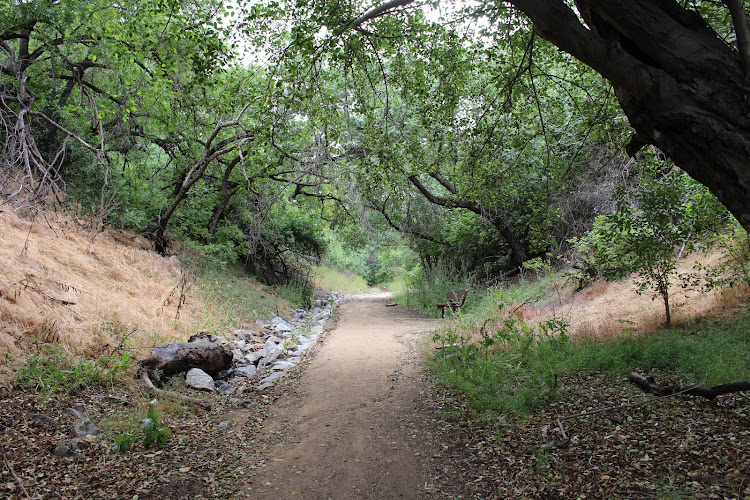 Galster Wilderness Park