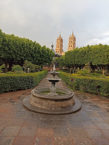 Garden of Salvatierra