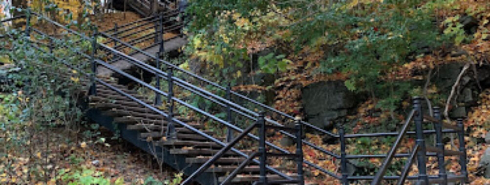 Grand Staircase of Mount Royal Travel Forum Reviews